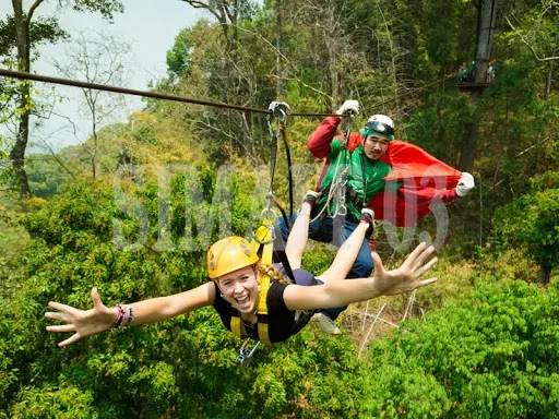 Backyard Adventure Zip Line Ki - огляд і ціна Outdoor Adventure Zipline